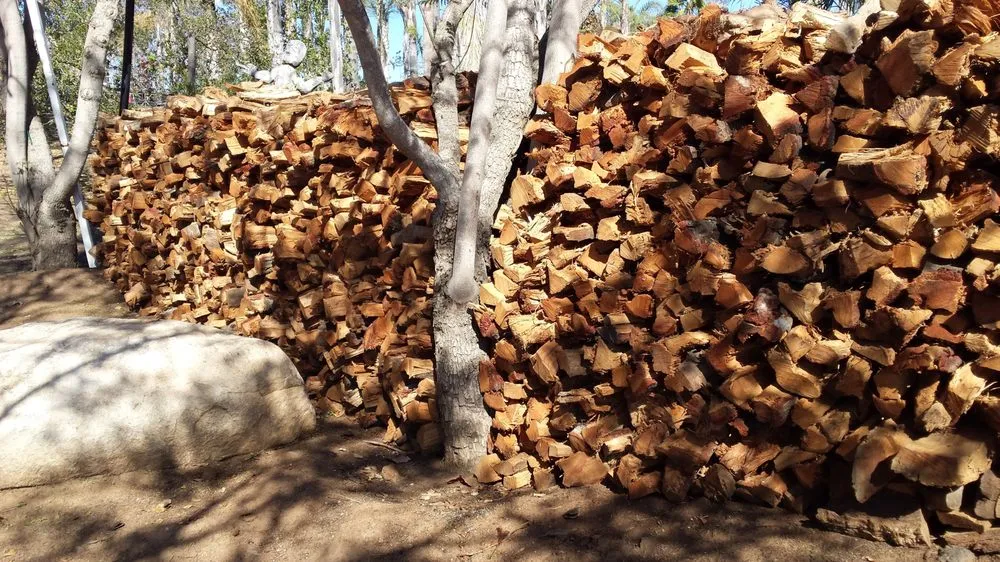 Professional yard maintenance for outdoor upgrades in Bonsall, CA by A Zankich Services