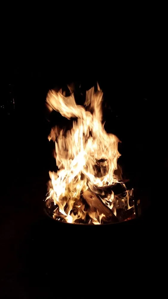 Reliable yard cleanup service experts serving Bonsall, CA - A Zankich Services