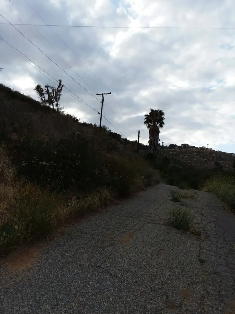 Local yard cleanup service for beautiful yards in Bonsall, CA by A Zankich Services