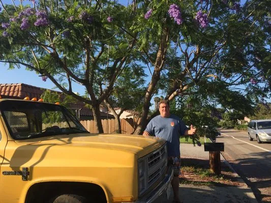 A Zankich Services Logo