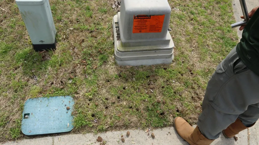 Affordable residential landscaping experts serving Lawrenceville, GA - A1 Aeration