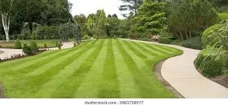 Trusted outdoor landscaping in Woodland, WA by A1 Budget Landscaping