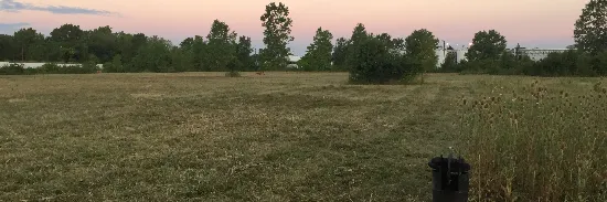 Reliable yard cleanup service in London, OH - A1 Bush Hogging & Lawn Service