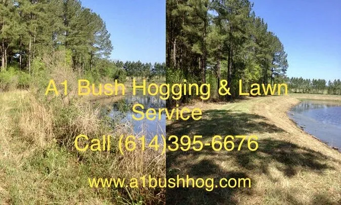 Trusted residential landscaping in London, OH by A1 Bush Hogging & Lawn Service