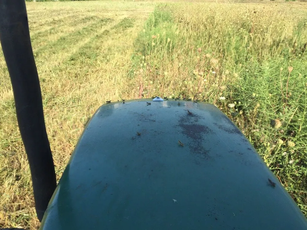 Local yard cleanup service in London, OH by A1 Bush Hogging & Lawn Service