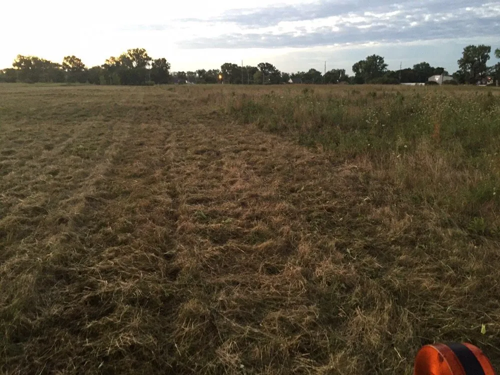 Affordable yard maintenance in London, OH by A1 Bush Hogging & Lawn Service