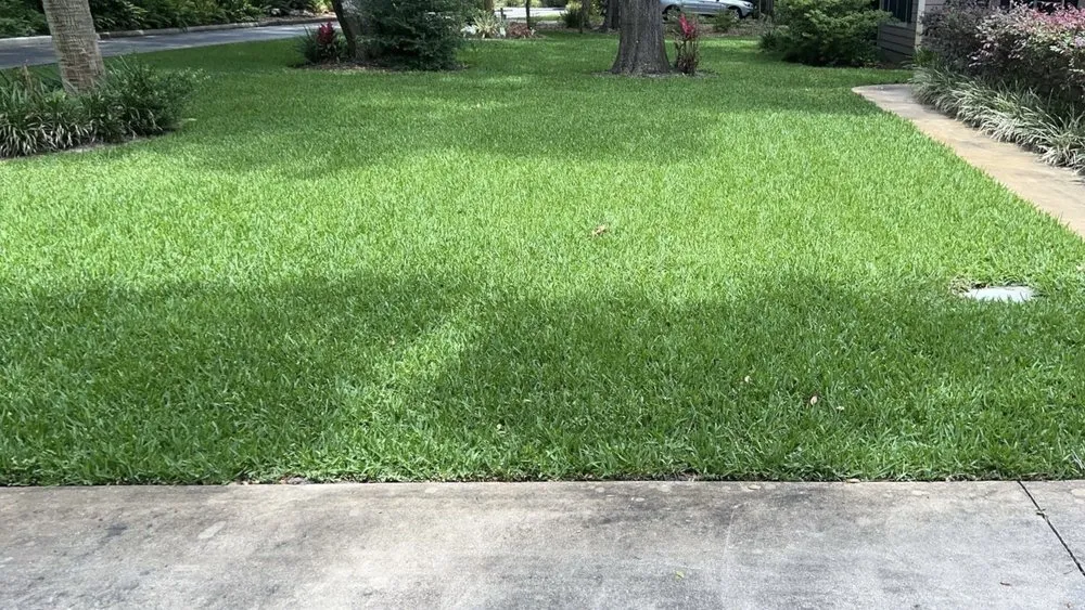 Top-rated outdoor landscaping with custom design in St. Augustine, FL by A1 Complete Pest Control and Lawn Care