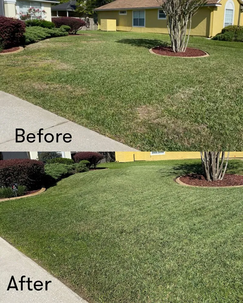 Trusted landscape installation near you across St. Augustine, FL - A1 Complete Pest Control and Lawn Care