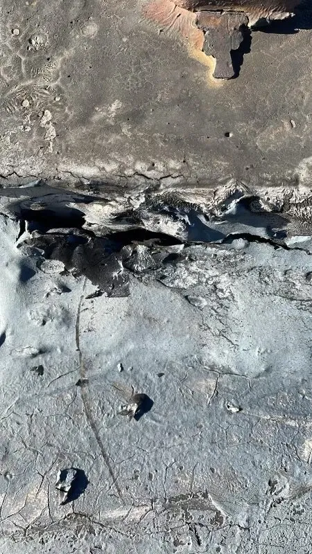 Expert yard maintenance in Queens, NY by A1 Global Roofing & Construction