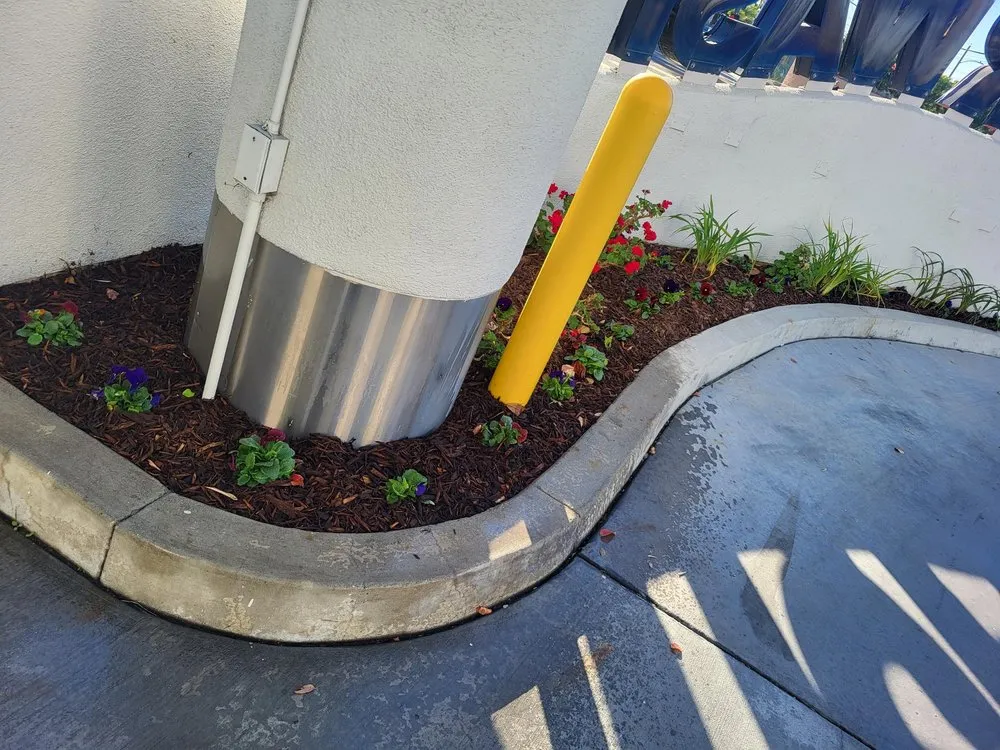 Professional yard cleanup service for year-round maintenance in Garden Grove, CA by A1 Green Care