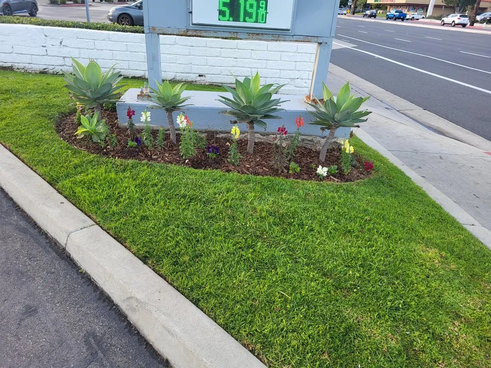 Expert landscape installation experts serving Garden Grove, CA - A1 Green Care