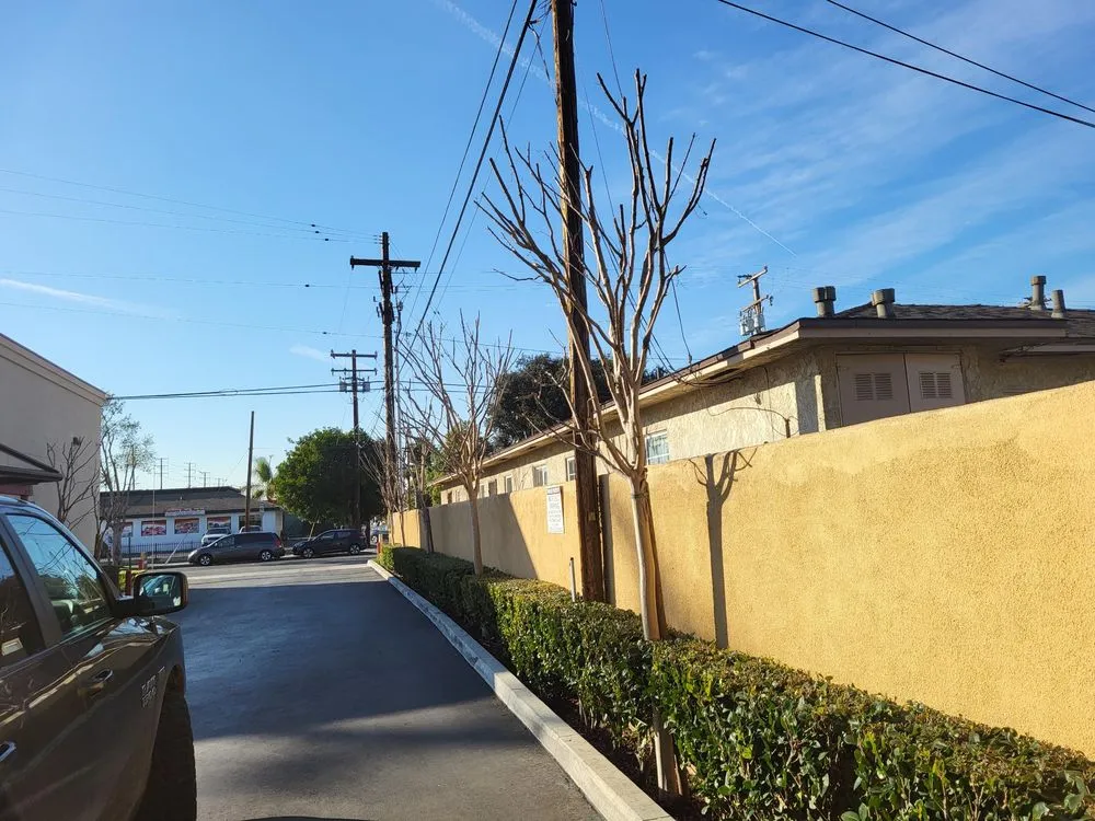 Top-rated landscape design for outdoor upgrades in Garden Grove, CA by A1 Green Care