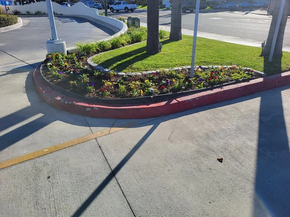 Affordable lawn care service for homes across Garden Grove, CA - A1 Green Care