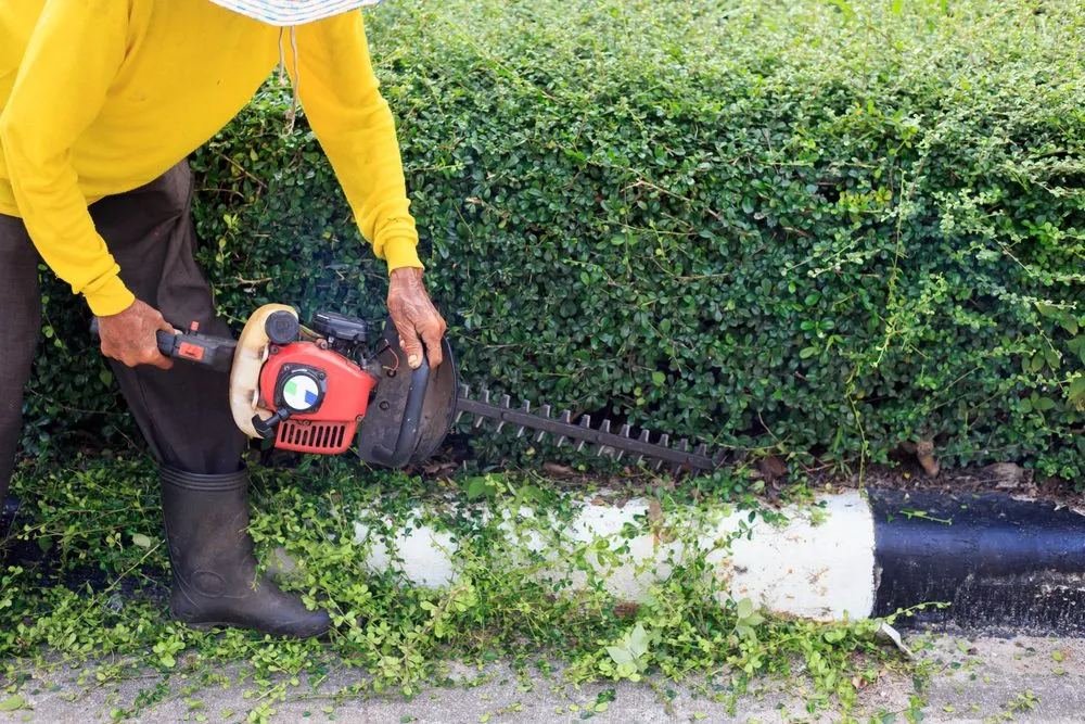 Top-rated yard maintenance experts serving Garden Grove, CA - A1 Green Care