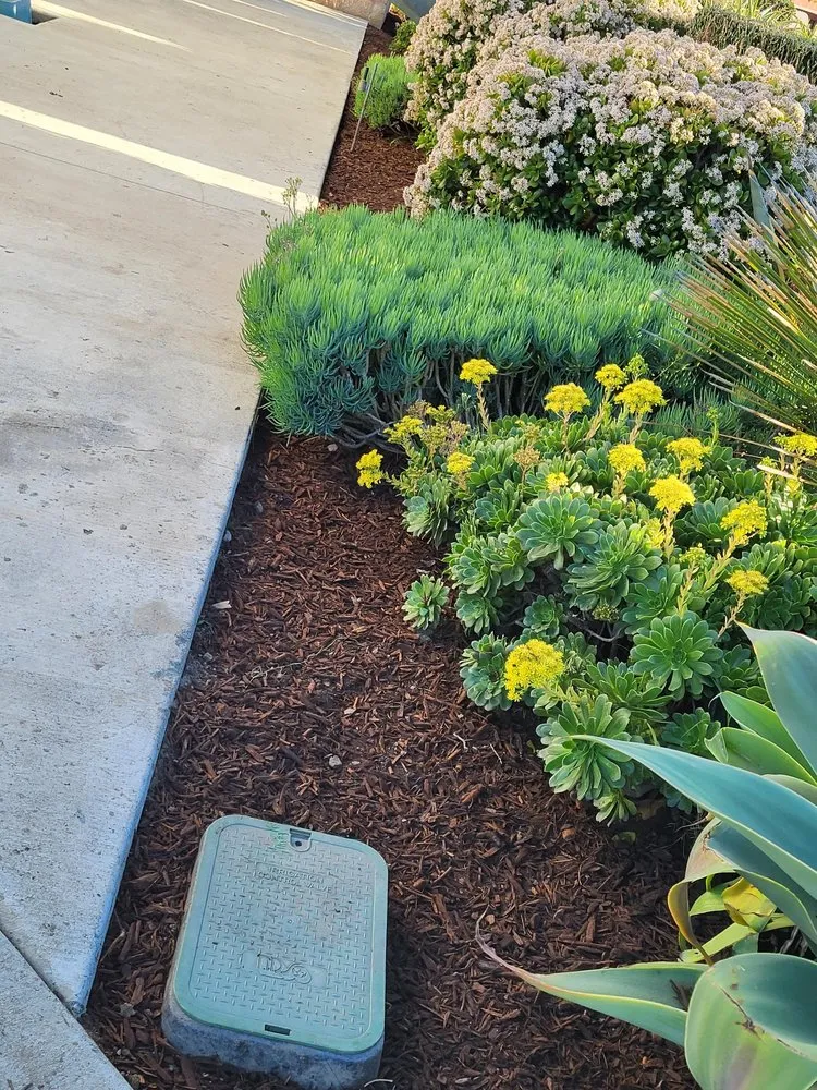 Professional lawn mowing service for residential properties across Garden Grove, CA - A1 Green Care