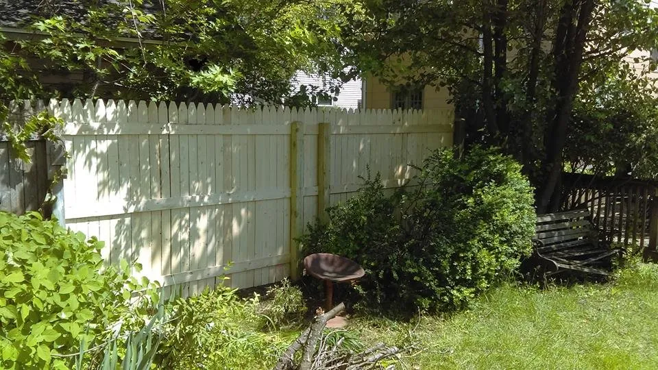Expert yard cleanup service in Leominster, MA - A1 Handyman Services