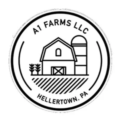 Custom yard cleanup service in Hellertown, PA - A1 Hardscape and Landscape Design