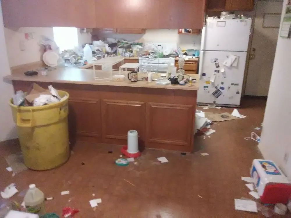 Local landscape design experts serving Bloomington, CA - A1 Hauling & Clean Up Services