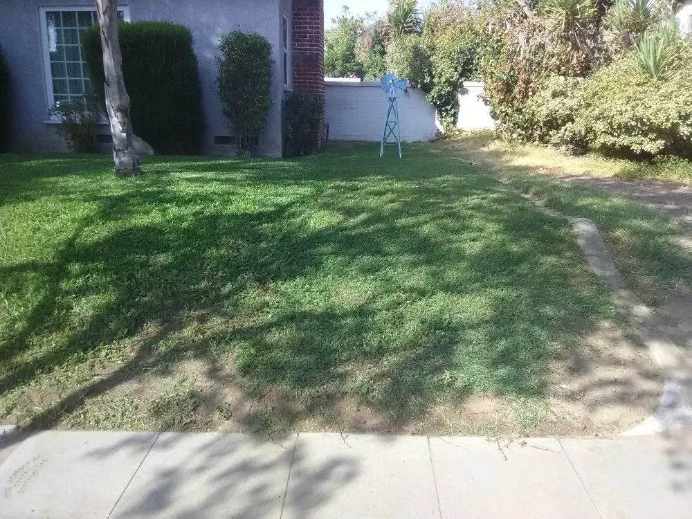 Trusted outdoor landscaping experts serving Bloomington, CA - A1 Hauling & Clean Up Services