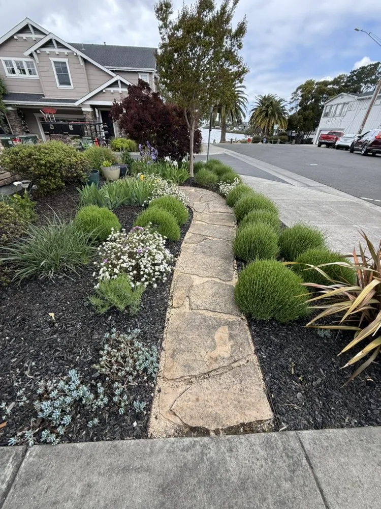 Local yard maintenance in Vacaville, CA by A1 Interior & Exterior Designing