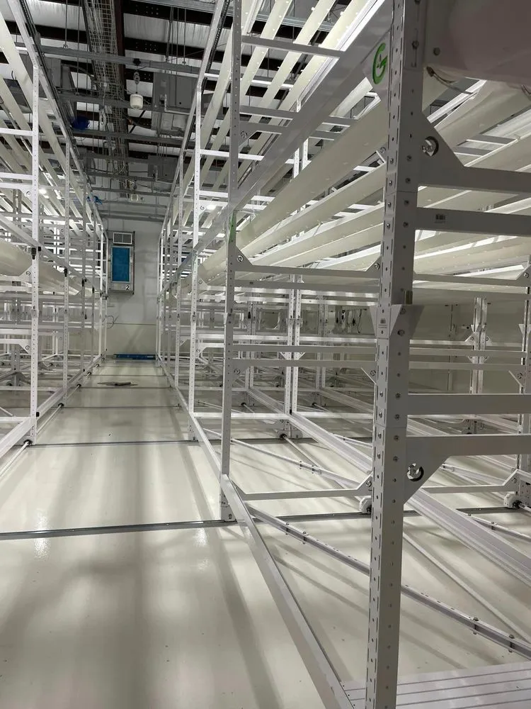 Affordable outdoor landscaping for outdoor upgrades in Umatilla, FL by A1 Irrigation