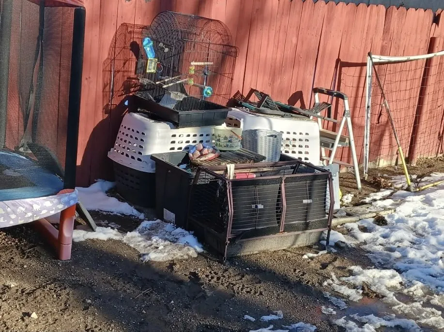 Reliable landscape installation for beautiful yards in Reno, NV by A1 Junk Services