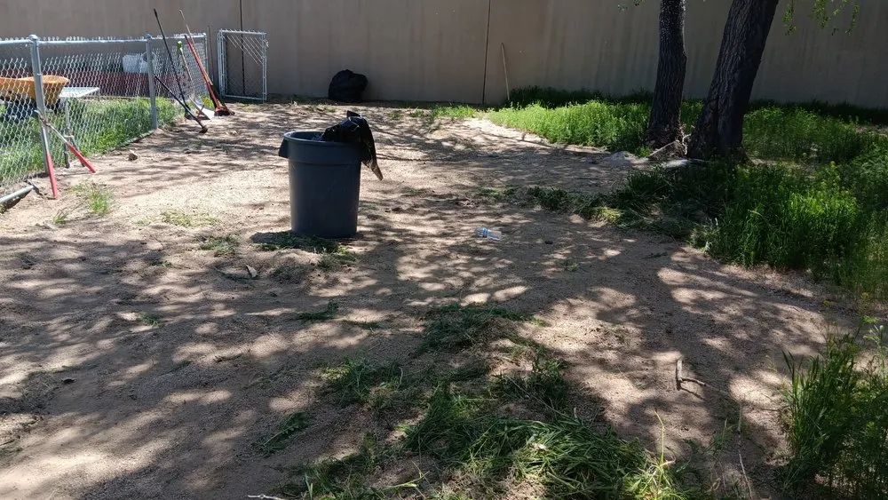 Top-rated yard maintenance in Reno, NV - A1 Junk Services