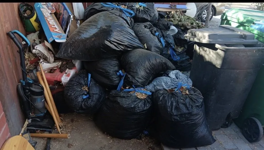 Affordable yard cleanup service for year-round maintenance across Reno, NV - A1 Junk Services