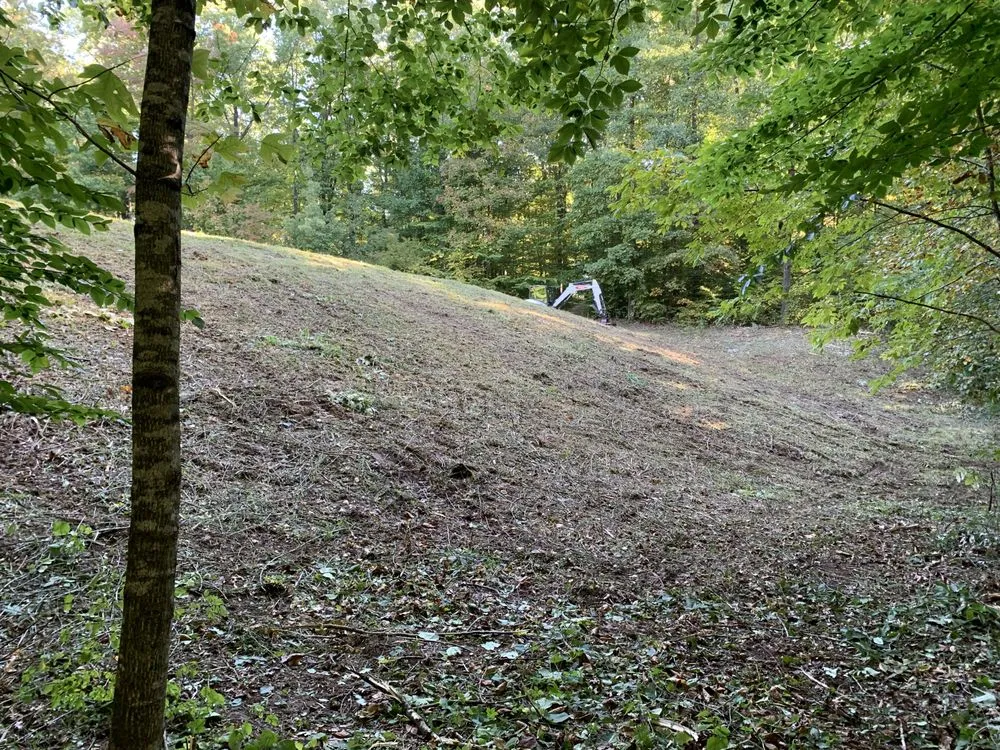 Top-rated outdoor landscaping in Batesville, IN by A1 Land Management