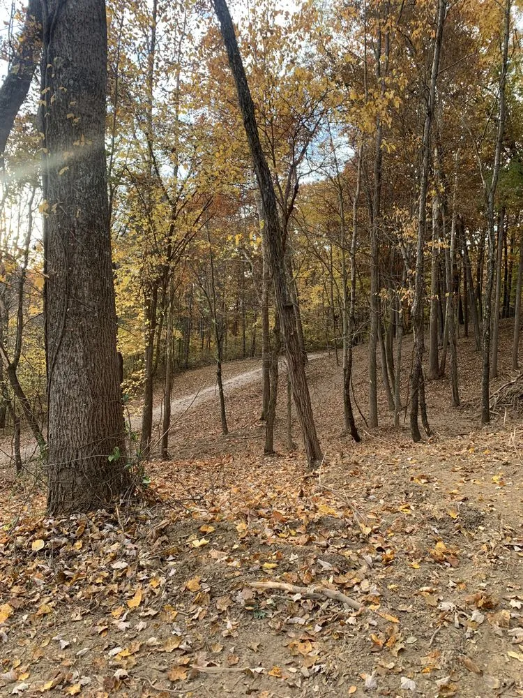 Trusted landscape design experts serving Batesville, IN - A1 Land Management