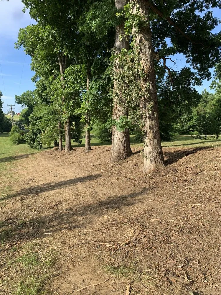 Custom landscape installation for beautiful yards across Batesville, IN - A1 Land Management