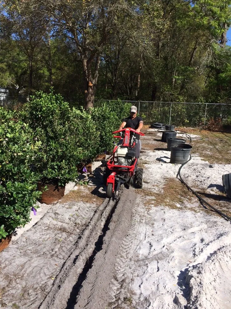 Top-rated lawn care service experts serving Lakeland, FL - A1 Landscape Management Company