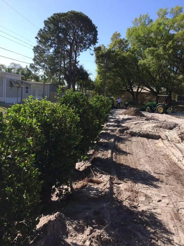 Top-rated landscaping services for beautiful yards across Lakeland, FL - A1 Landscape Management Company