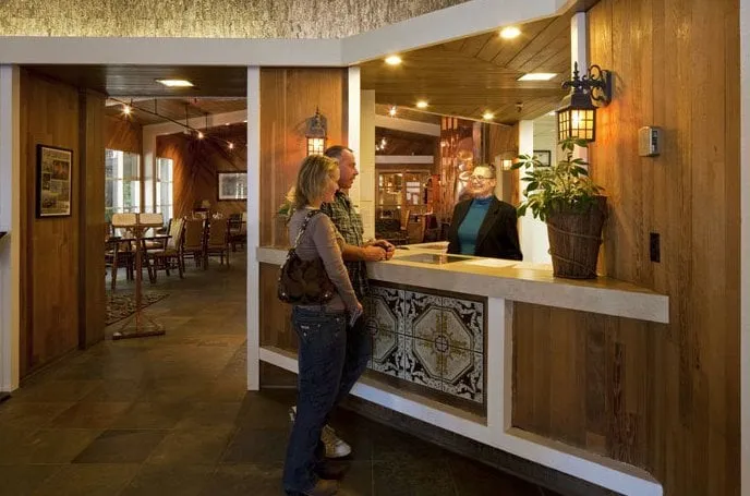 Expert yard maintenance for year-round maintenance across Lathrop, CA - A1 Landscaping & Construction