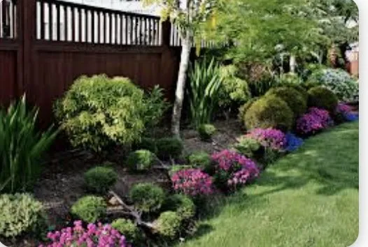 Local yard maintenance in Newport, NC by A1 Landscaping and Junk Removal