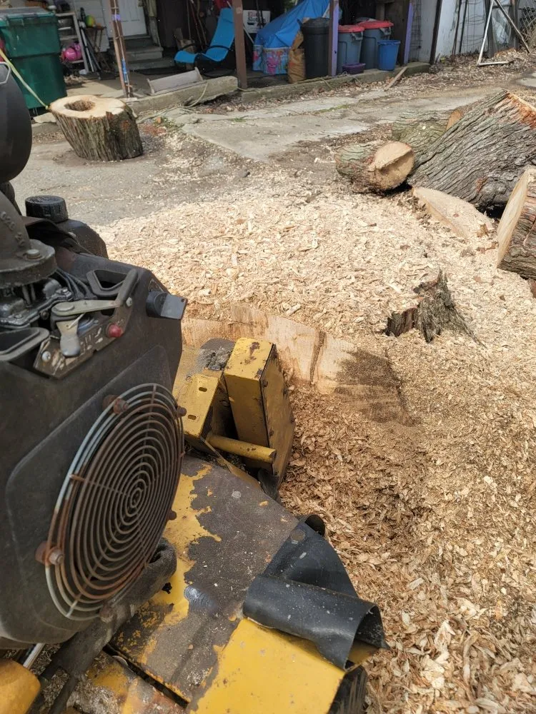 Expert lawn care service for beautiful yards in Lansing, MI by A1 Landscaping and Stump Removal