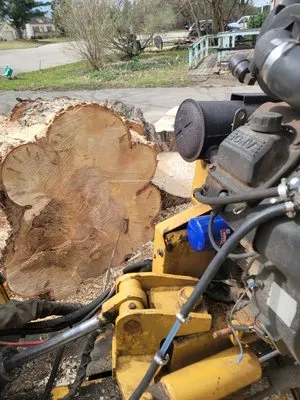 A1 Landscaping and Stump Removal Logo