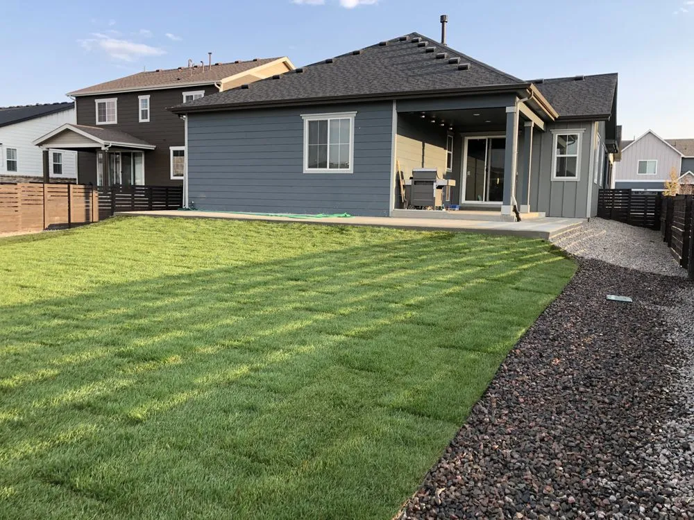 Reliable yard cleanup service in Denver, CO - A1 Landscaping