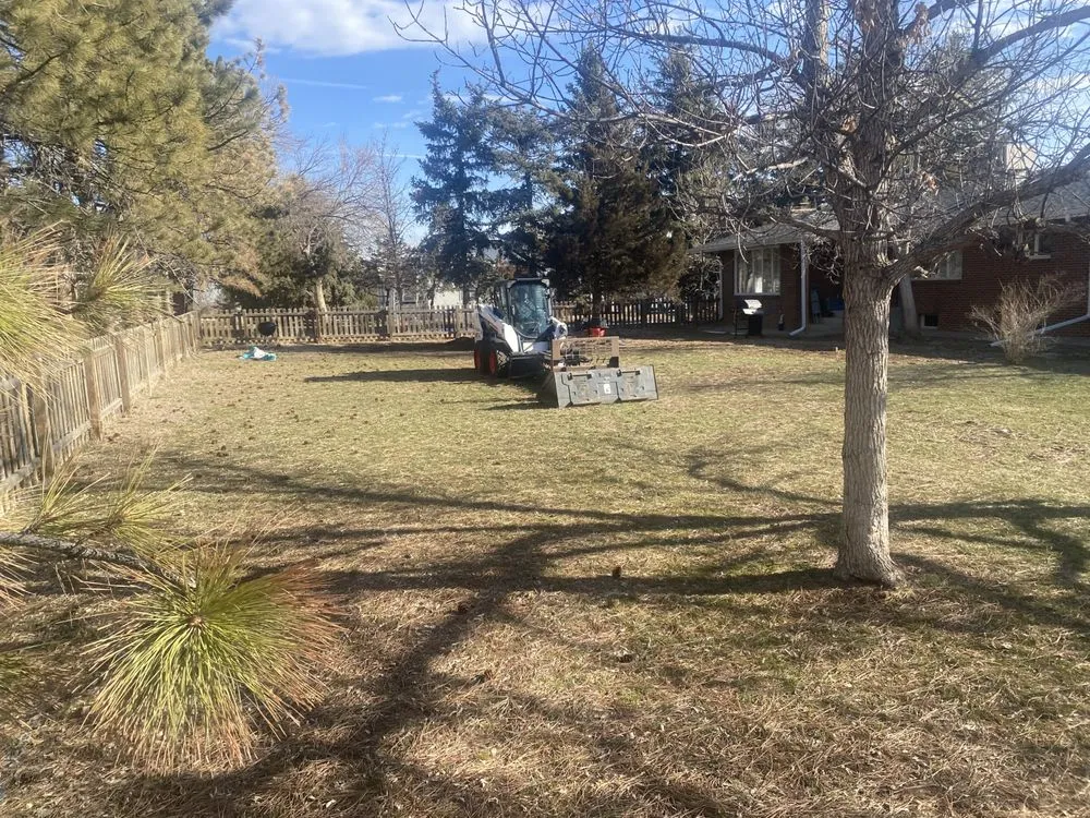 Top-rated residential landscaping for residential properties in Denver, CO by A1 Landscaping