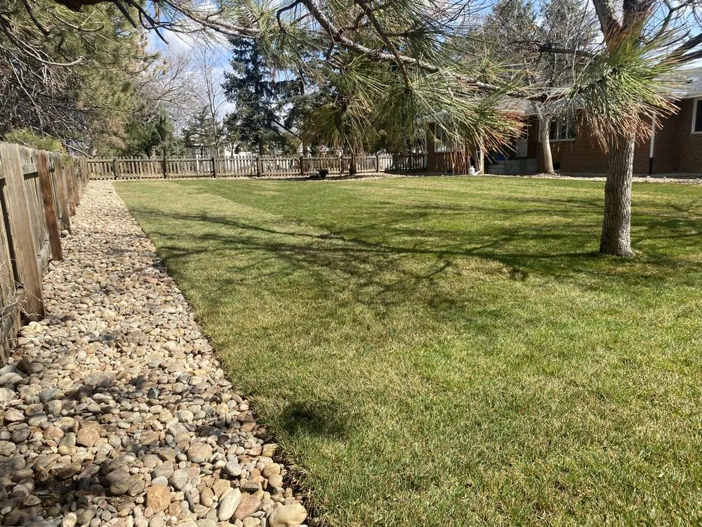 Expert landscaping services for year-round maintenance in Denver, CO by A1 Landscaping
