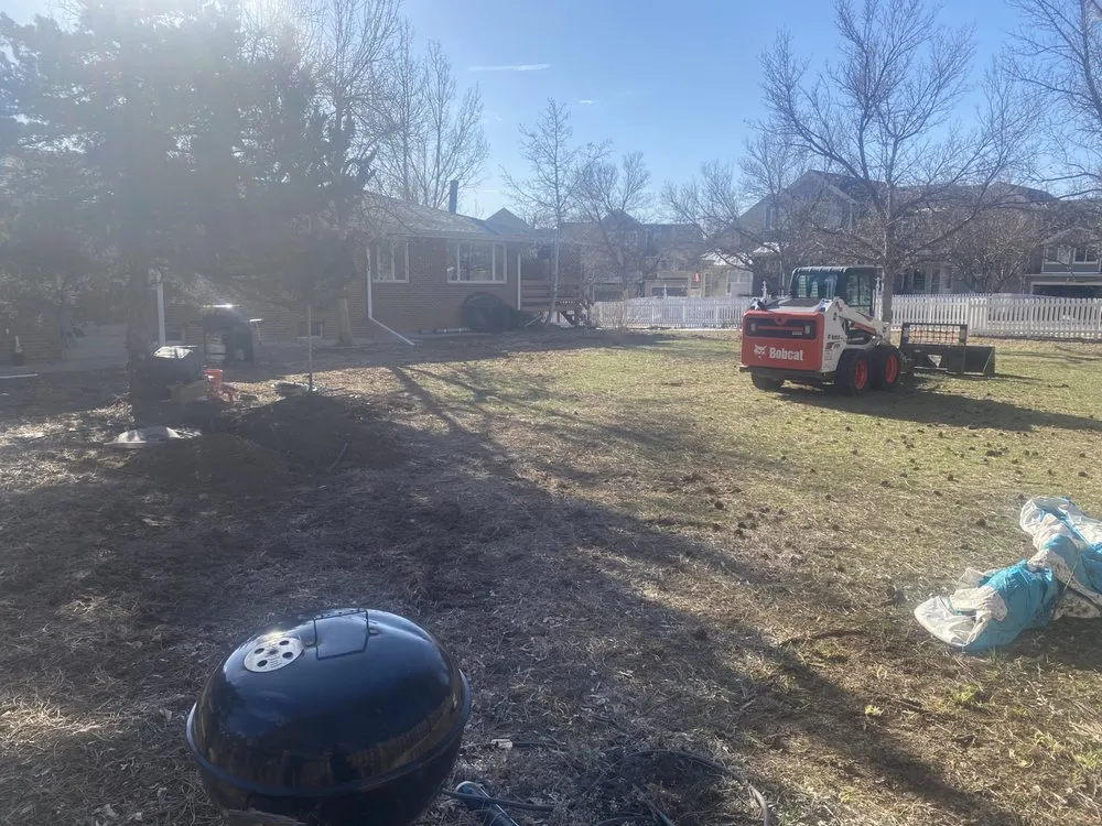 Expert landscape design for homes in Denver, CO by A1 Landscaping