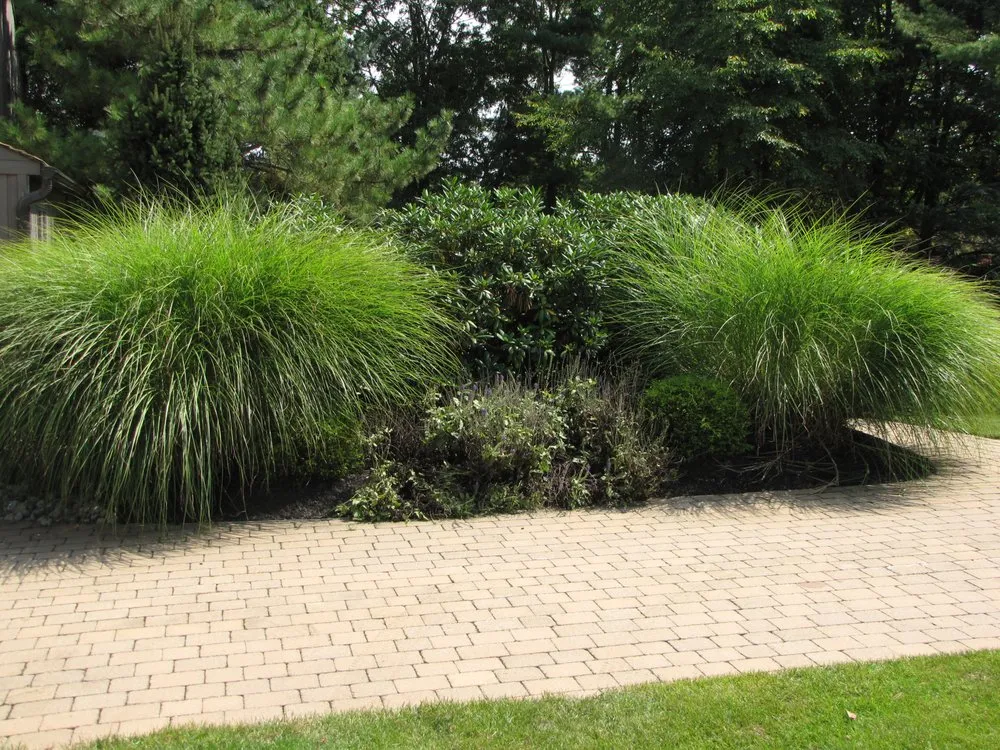 Local landscaping services in Hillsborough, NJ by A1 Landscaping Hillsborough