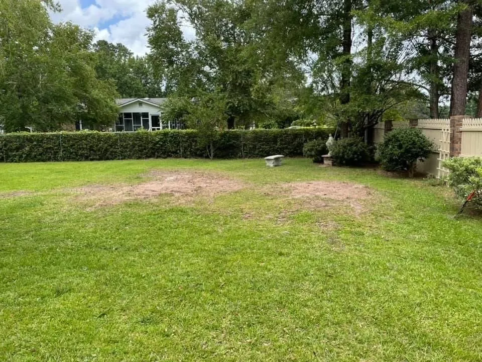 Professional yard cleanup service in Marion, SC - A1 Landscaping