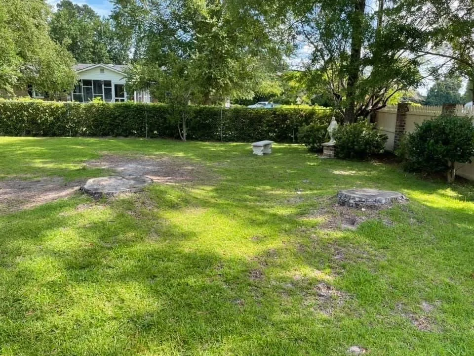 Affordable outdoor landscaping for beautiful yards in Marion, SC by A1 Landscaping