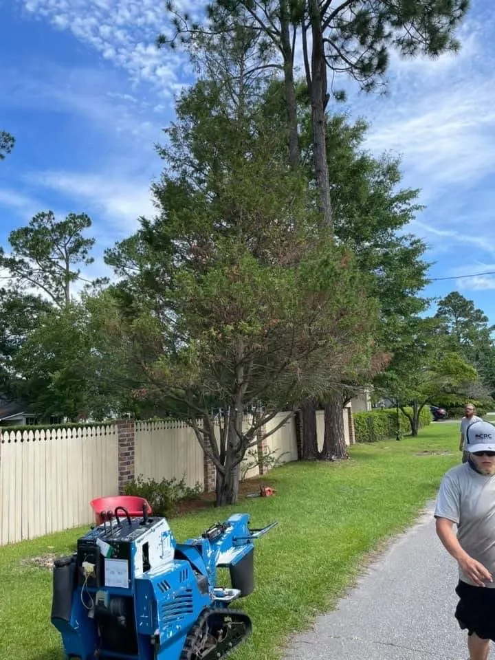 Top-rated landscape design in Marion, SC by A1 Landscaping