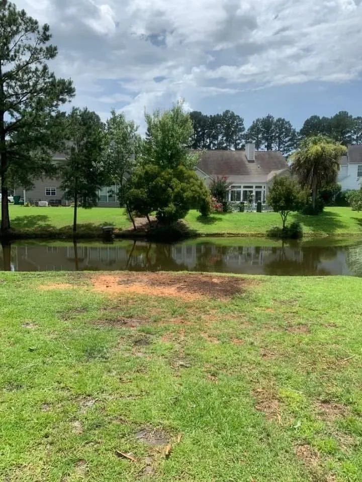 Affordable residential landscaping in Marion, SC by A1 Landscaping