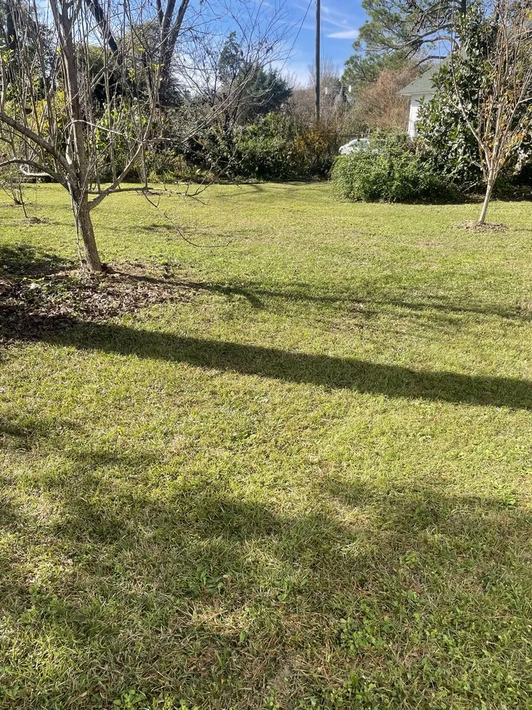 Professional landscape design in Marion, SC - A1 Landscaping