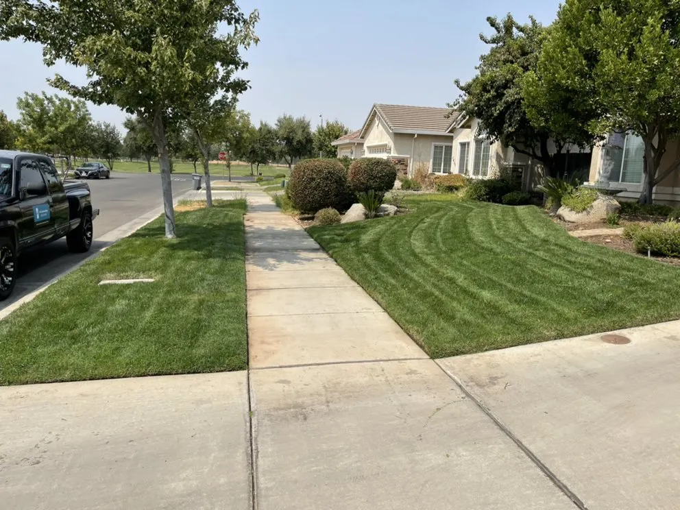 Custom yard maintenance for homes across Merced, CA - A1 Landscaping