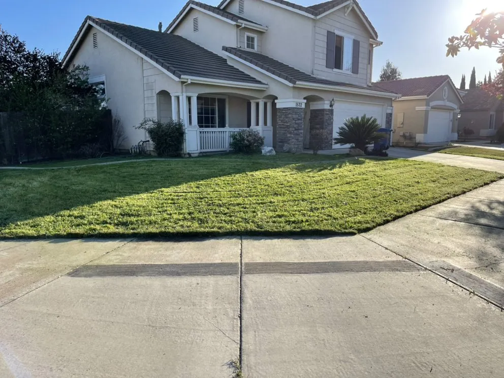 Affordable yard cleanup service for beautiful yards across Merced, CA - A1 Landscaping