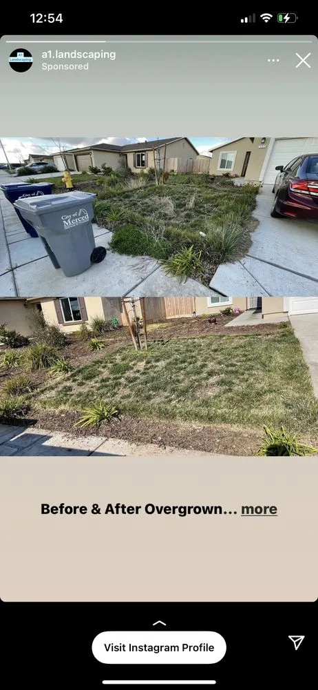 Professional landscape design in Merced, CA by A1 Landscaping